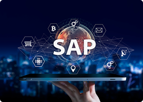 SAP MDG Functional